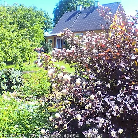 Karluti * Kuressaare